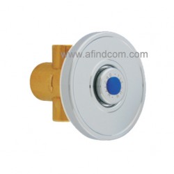 Urinal flush valve with wall plate